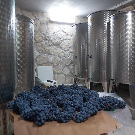 Apartman Genova Imotski Donji Vinjani Zewnętrze zdjęcie