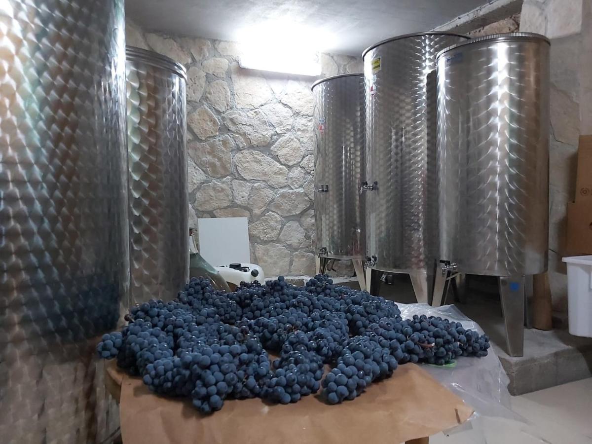 Apartman Genova Imotski Donji Vinjani Zewnętrze zdjęcie